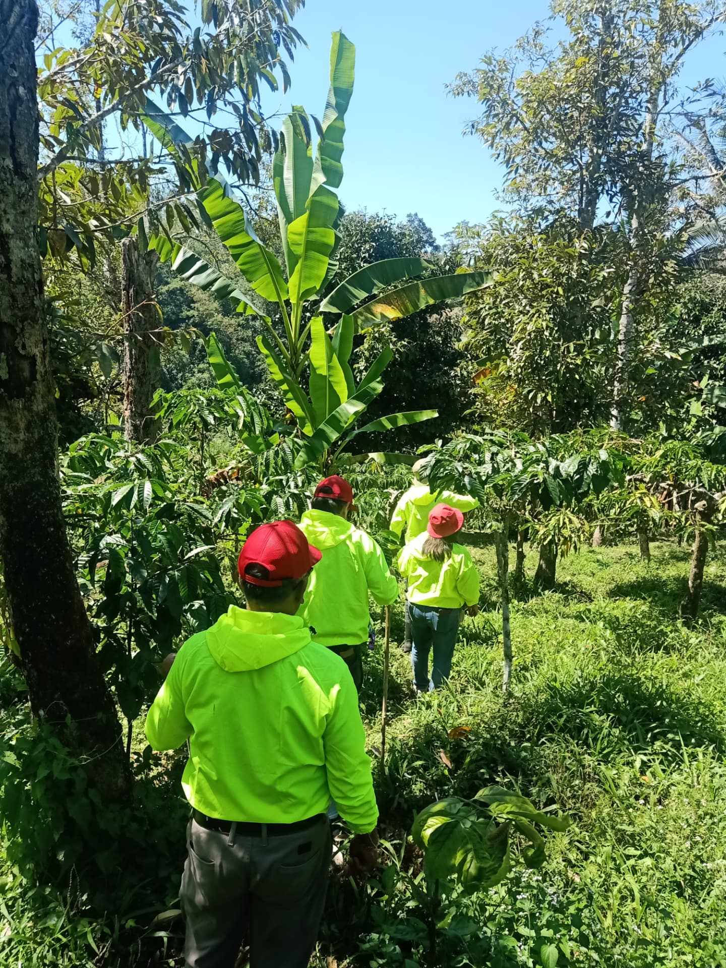 Foraging Tour (Meramban) 6