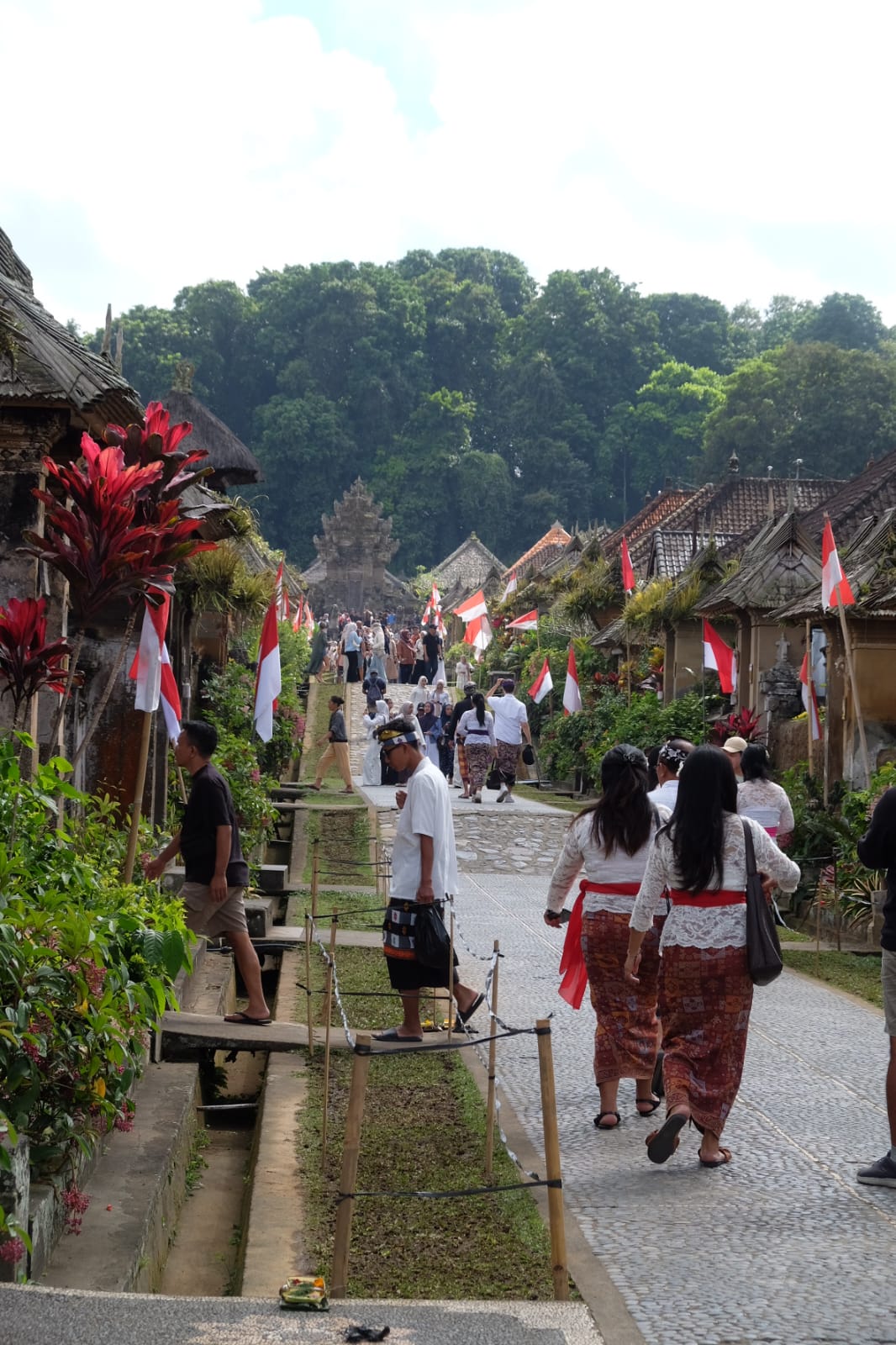 Penglipuran Village & Tree Planting 1
