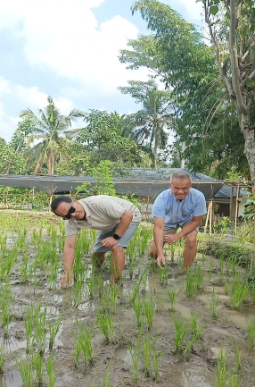 Rice Planting with Local Farmers 7