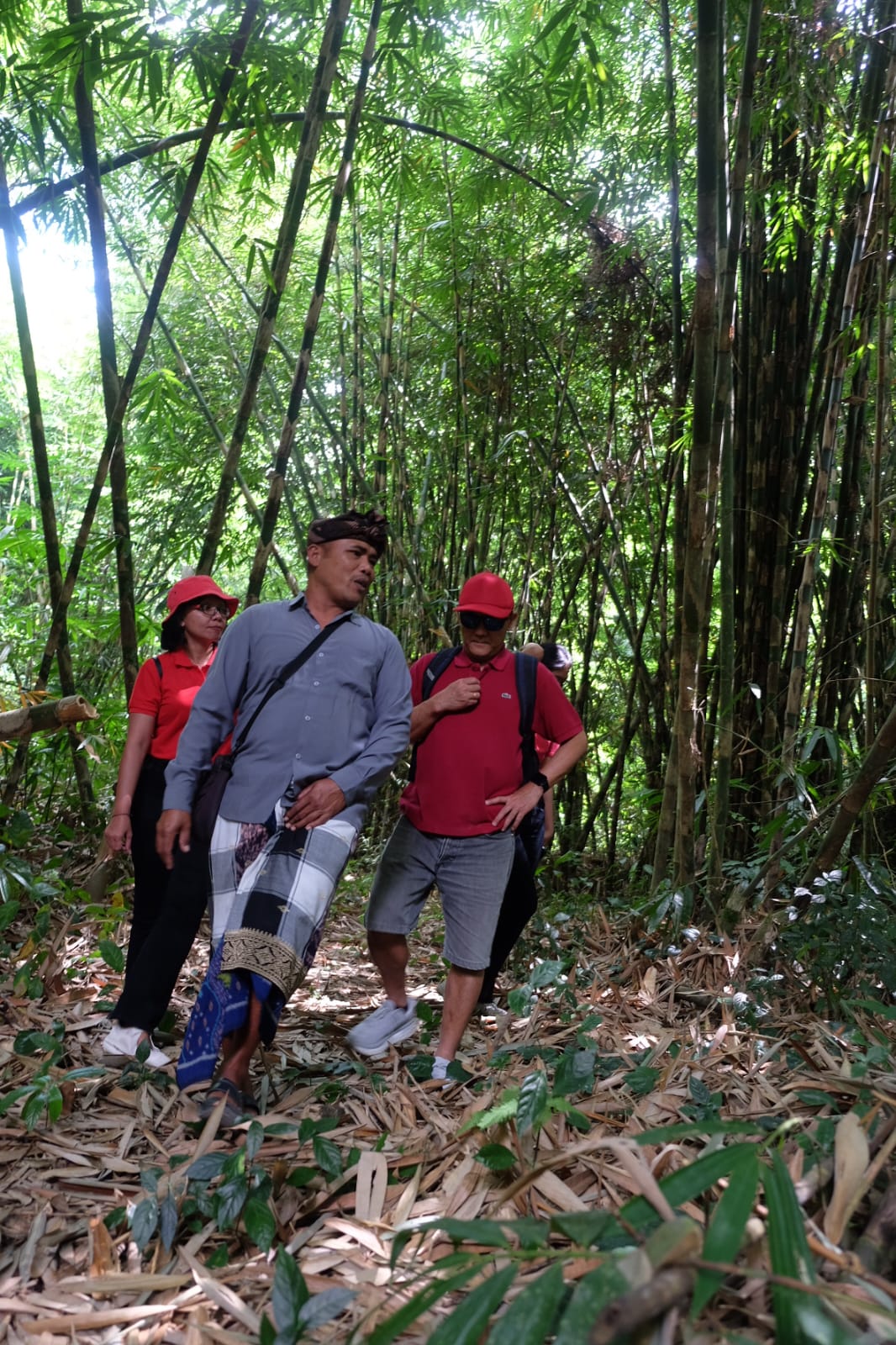 Penglipuran Village & Tree Planting 4