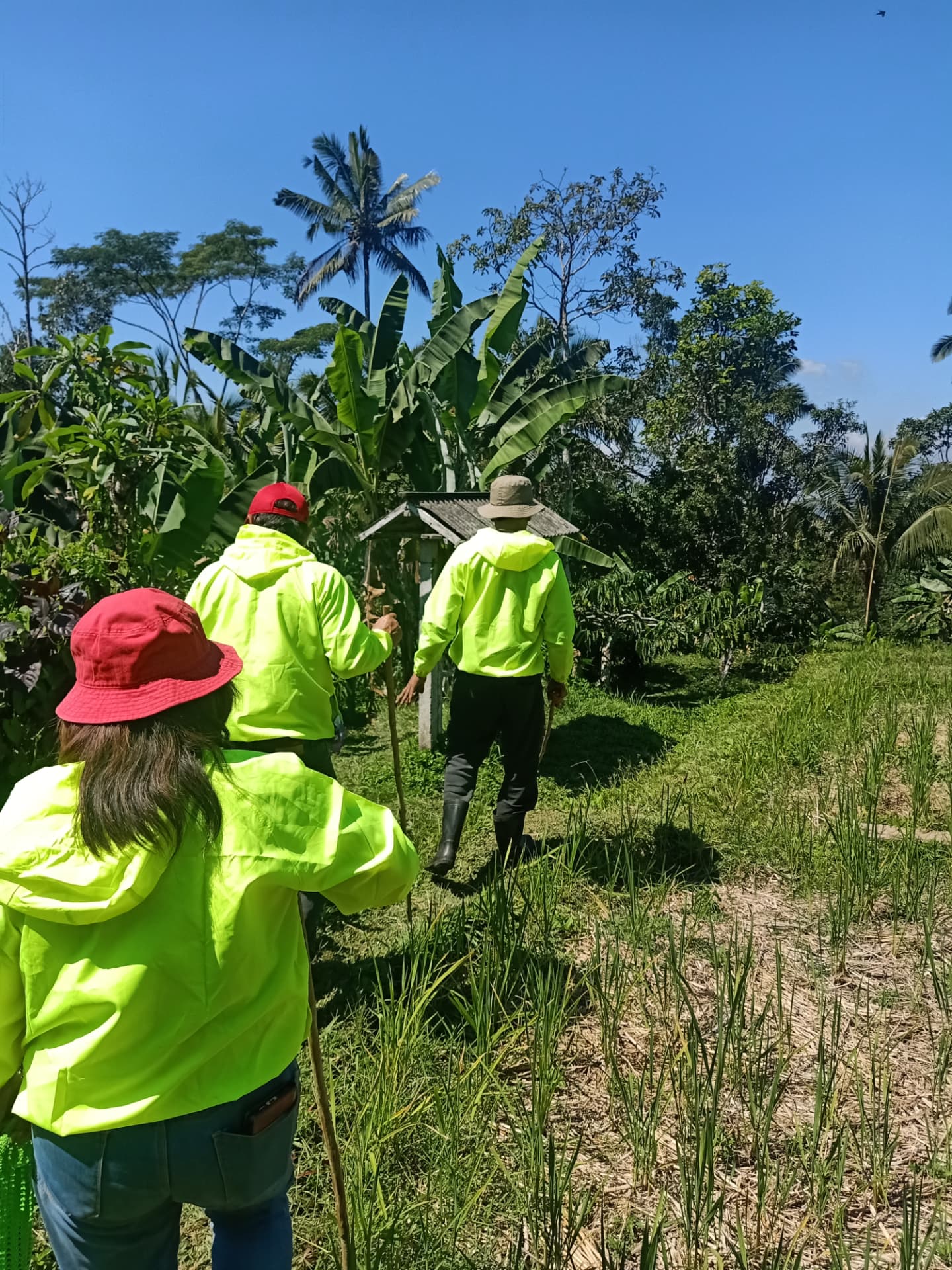 Foraging Tour (Meramban) 5