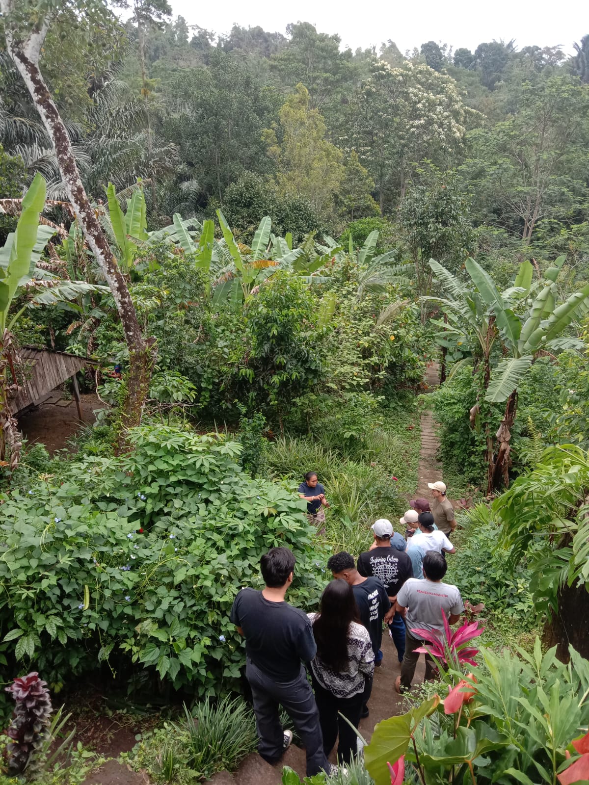 Foraging Tour (Meramban) 2