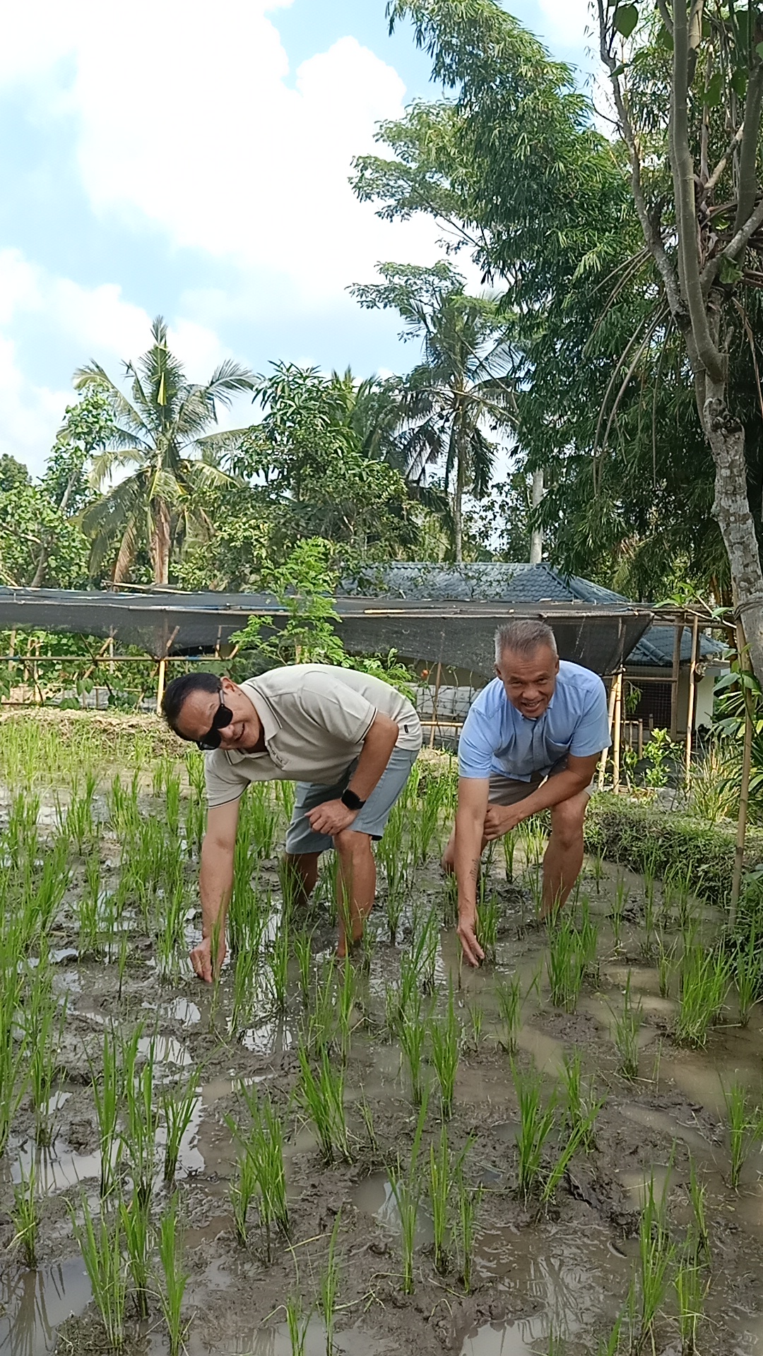 Rice Planting with Local Farmers 3
